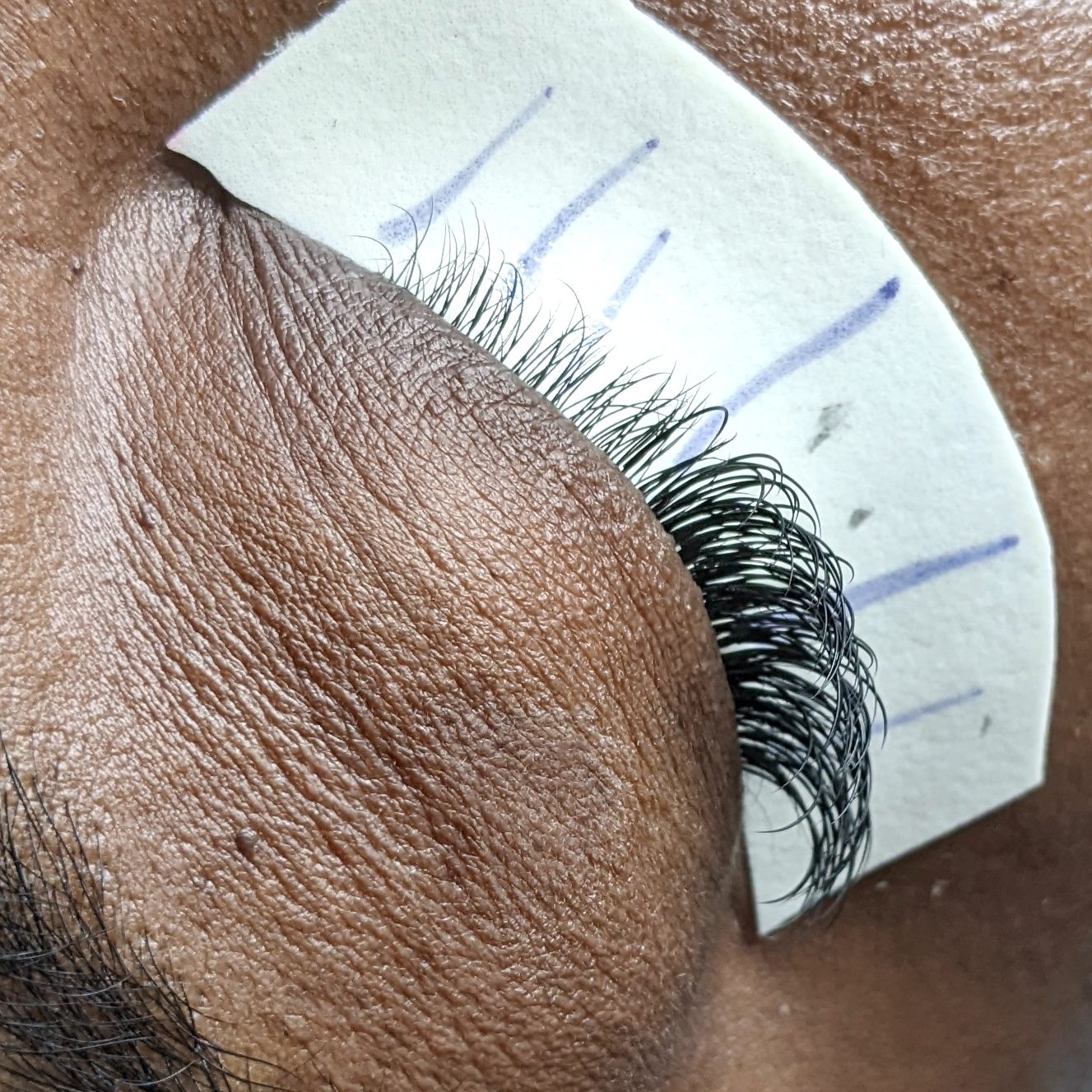 single lash very short fullset fusion lash extensions by The Auracle Salon Portmore Jamaica